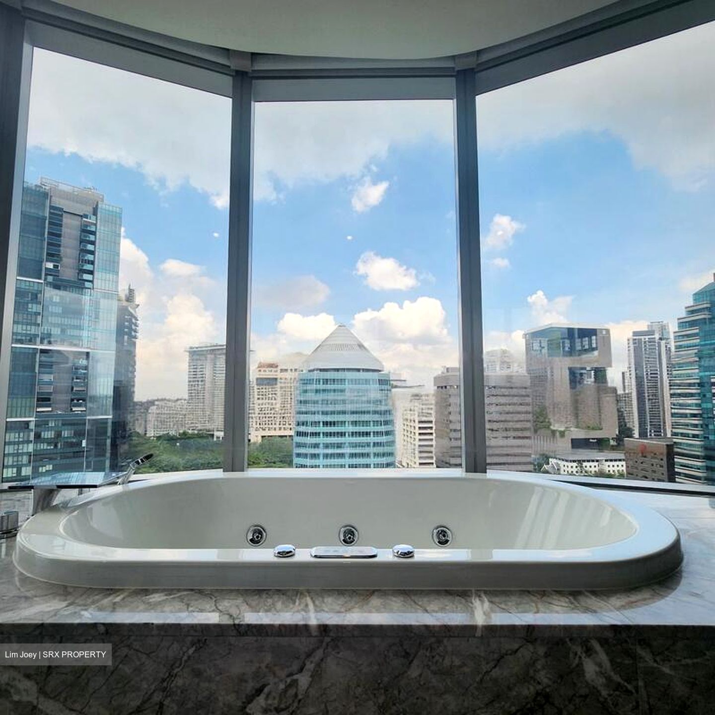 The Orchard Residences (D9), Apartment #454130201